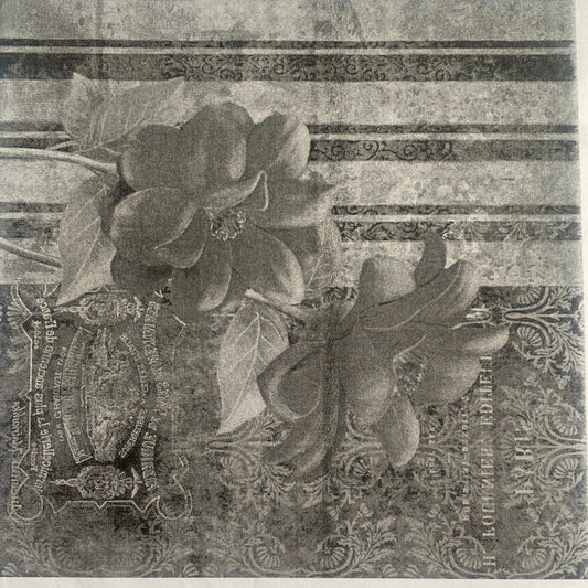 LAMINA PARA TRANSFERENCIA BLANCO Y NEGRO (20x25)