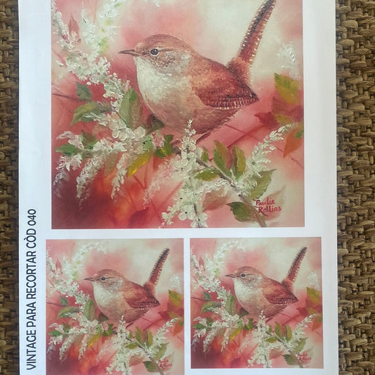 LAMINAS PARA DECOUPAGE   21 x 29 varios aves