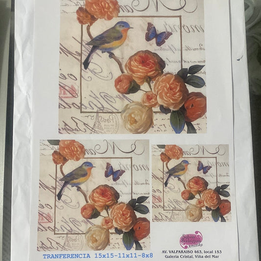 LAMINAS PARA TRANSFERENCIA (20x25) AVE