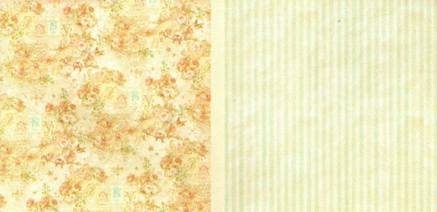 Lámina Graphic 45 Doble 30x30cm Scrapbooking USA - Baby 2 Bride 5