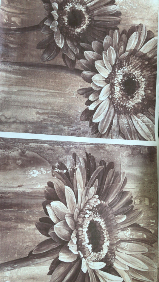LAMINAS PARA SUBLIMAR 50 x 100 Sepia  ENSUEÑO DORADO ARGENTINAS