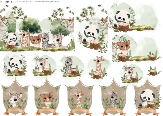 PAPEL DE SEDA 50 x 70  ARGENTINAS INF14