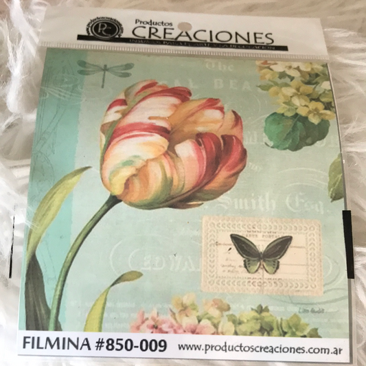 LAMINAS FILMINA O CRISTAL,n09  medidas 14 x 14