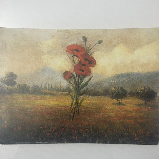 LÁMINA PARA DECOUPAGE 12X18
