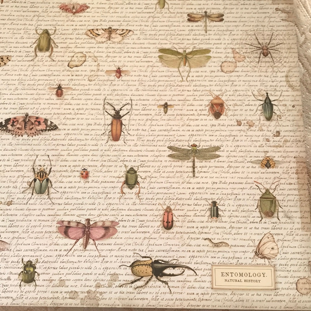 LAMINAS STAMPERIA  DOBLES PARA SCRAP SPRING BOTANIC