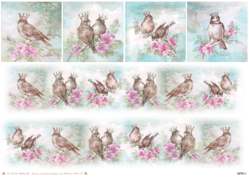 PAPEL DE SEDA 50 x 70  ARGENTINAS HPN11