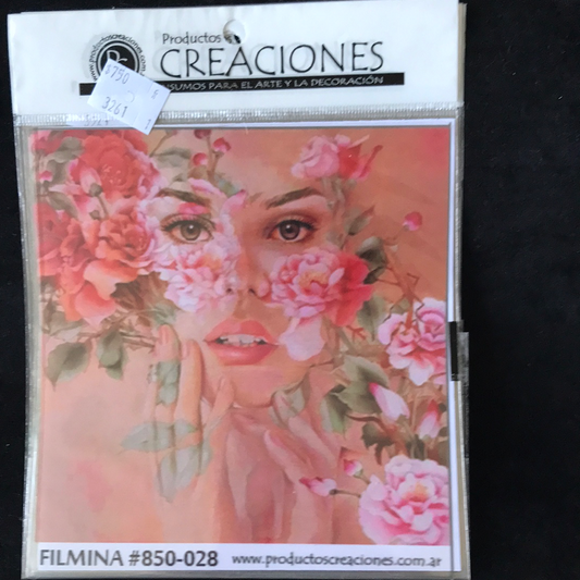 LAMINAS FILMINA O CRISTAL, n 28 medidas 14 x 14