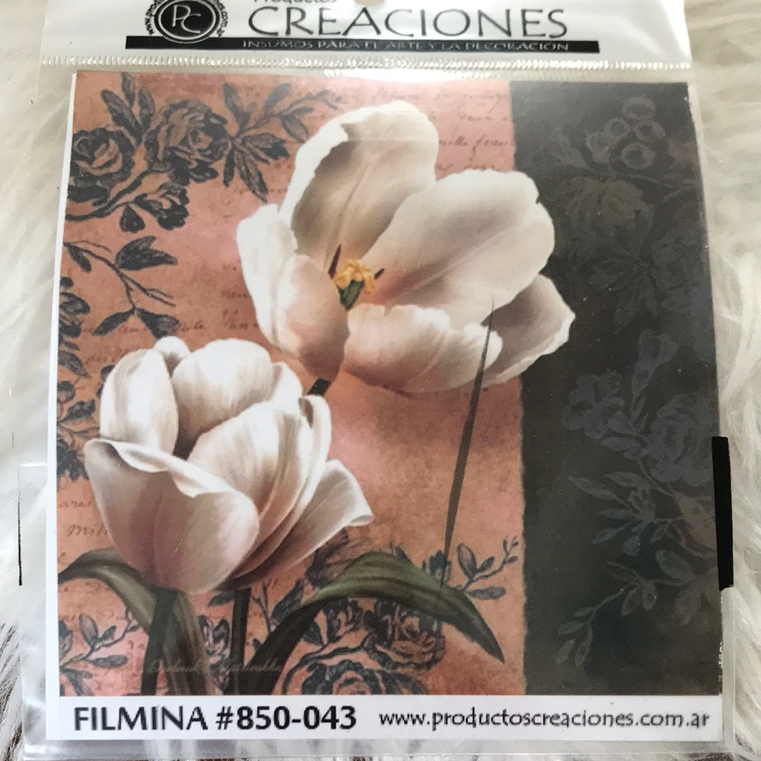LAMINAS FILMINA O CRISTAL, n43 medidas 14 x 14