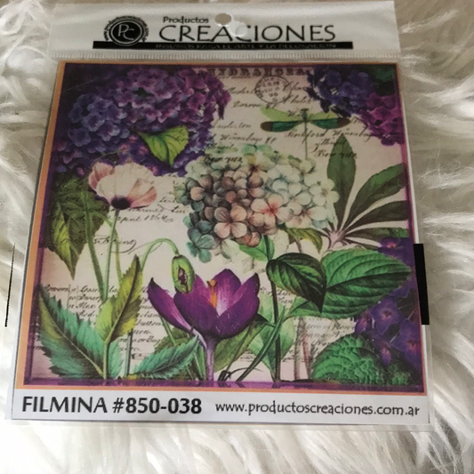 LAMINAS FILMINA O CRISTAL,n 38  medidas 14 x 14
