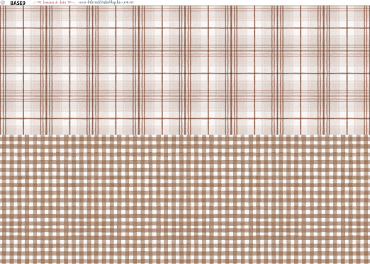 PAPEL DE SEDA 50 x 70  ARGENTINAS BASE 9