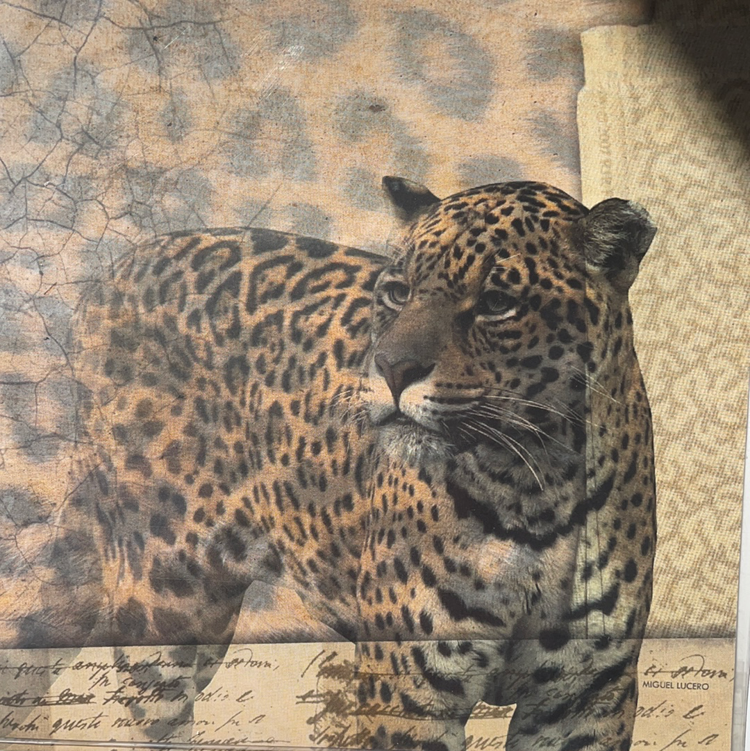 LAMINAS ML PARA DECOUPAGE ARGENTINAS