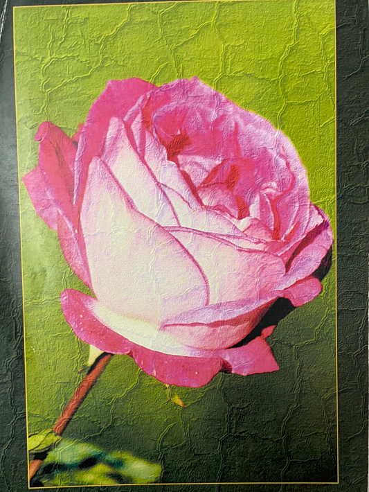 LÁMINA PARA DECOUPAGE 12X18