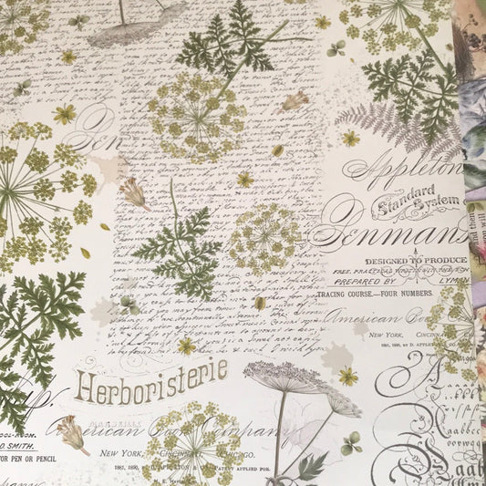 LAMINAS STAMPERIA  DOBLES PARA SCRAP HERBARIUM.  s