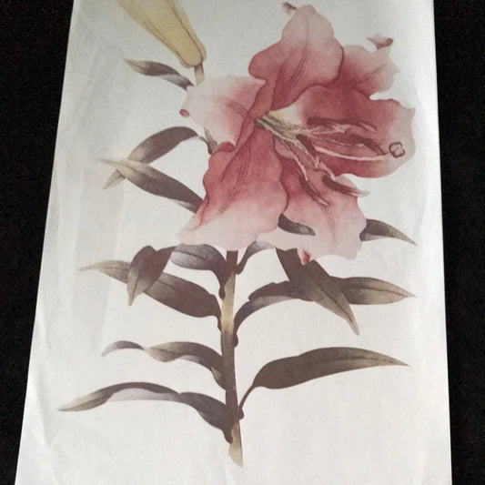LAMINAS PARA SUBLIMAR 30 x 50 FLORES