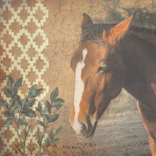 LAMINAS ML PARA DECOUPAGE ARGENTINAS