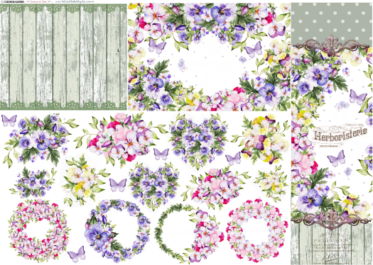 PAPEL DE SEDA 50 x 70  ARGENTINAS GARD8