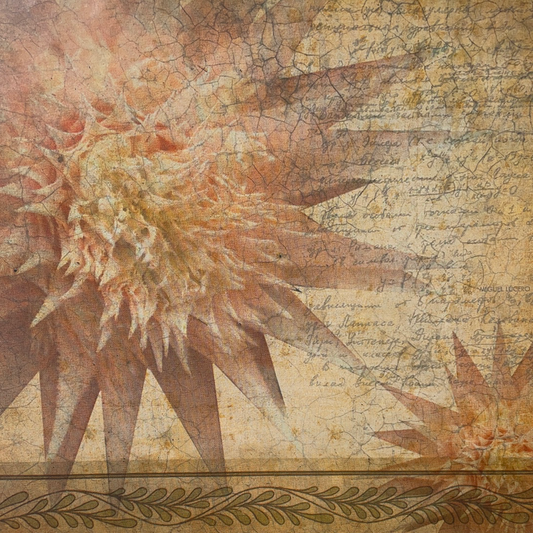 LAMINAS ML PARA DECOUPAGE ARGENTINAS